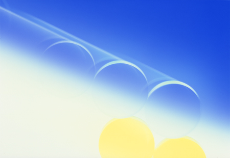 vin01
